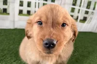 processed/17c98f99-cbbe-4d46-8231-b634a8c9325f/listing/b3b94e7d-5d7a-47f6-a5ba-06af002084ef/5cdaa094-600c-476e-8469-ea13a6580238