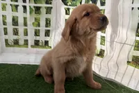 processed/17c98f99-cbbe-4d46-8231-b634a8c9325f/listing/b3b94e7d-5d7a-47f6-a5ba-06af002084ef/7acda717-340d-4fef-802f-74c8d6ddef38