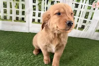 processed/17c98f99-cbbe-4d46-8231-b634a8c9325f/listing/b3b94e7d-5d7a-47f6-a5ba-06af002084ef/b7ff8b9c-baa8-4f2d-870c-70a6d0425e14