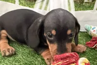 processed/17c98f99-cbbe-4d46-8231-b634a8c9325f/listing/ebdf5d49-8483-4e5f-ad00-8b0f05c89035/07f8aae8-91ca-4045-b5df-312f6c7be312