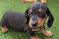 processed/17c98f99-cbbe-4d46-8231-b634a8c9325f/listing/ebdf5d49-8483-4e5f-ad00-8b0f05c89035/094993ca-3595-443a-8a2e-6adcc30d34bf