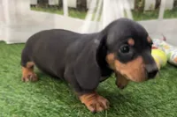 processed/17c98f99-cbbe-4d46-8231-b634a8c9325f/listing/ebdf5d49-8483-4e5f-ad00-8b0f05c89035/1f390f2f-f61b-4c8d-b2a0-d3d0ea5c0d29