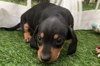 processed/17c98f99-cbbe-4d46-8231-b634a8c9325f/listing/ebdf5d49-8483-4e5f-ad00-8b0f05c89035/636762db-1b00-4e1b-bf62-d6d330260105