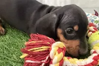 processed/17c98f99-cbbe-4d46-8231-b634a8c9325f/listing/ebdf5d49-8483-4e5f-ad00-8b0f05c89035/7e17ae80-1ed4-45bb-af5c-9d3d025104f1