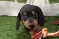 processed/17c98f99-cbbe-4d46-8231-b634a8c9325f/listing/ebdf5d49-8483-4e5f-ad00-8b0f05c89035/8052fe1f-b4af-460c-835b-a8d7603ade46