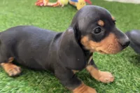 processed/17c98f99-cbbe-4d46-8231-b634a8c9325f/listing/ebdf5d49-8483-4e5f-ad00-8b0f05c89035/86fc82f0-feb7-4d23-ba04-84b45c0b681f