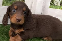 processed/17c98f99-cbbe-4d46-8231-b634a8c9325f/listing/fc8cedb2-12dc-4826-a73c-b0faa9afc56a/201dcd00-de9e-44b7-b6ae-678cb9cb3029