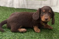 processed/17c98f99-cbbe-4d46-8231-b634a8c9325f/listing/fc8cedb2-12dc-4826-a73c-b0faa9afc56a/730eb4e1-9635-4873-ab4c-eac9e81ce5d1