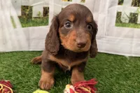 processed/17c98f99-cbbe-4d46-8231-b634a8c9325f/listing/fc8cedb2-12dc-4826-a73c-b0faa9afc56a/85918ece-ffbb-4f4b-9110-aeedb3a8350a