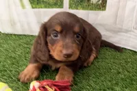 processed/17c98f99-cbbe-4d46-8231-b634a8c9325f/listing/fc8cedb2-12dc-4826-a73c-b0faa9afc56a/cc367a40-e385-412a-af59-5aa1753d88aa