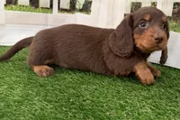 processed/17c98f99-cbbe-4d46-8231-b634a8c9325f/listing/fc8cedb2-12dc-4826-a73c-b0faa9afc56a/f62a32c6-2f15-422a-85c1-bff0c2982095