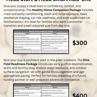 Clara-5th Gen. Family Lab, a female Labrador Retriever for sale in Earlham, IA – Photo 6 of 8