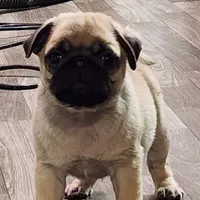 processed/17dda7a1-a6d0-4b7f-b766-4dad898a77ef/listing/85ea7743-1998-4d9b-8d5e-96ab6610958a/7587388b-6115-413a-be0f-5c1e0bc92d6b