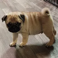 processed/17dda7a1-a6d0-4b7f-b766-4dad898a77ef/listing/85ea7743-1998-4d9b-8d5e-96ab6610958a/883ca280-6164-4a71-9860-48c8d9bfde3c