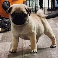 processed/17dda7a1-a6d0-4b7f-b766-4dad898a77ef/listing/85ea7743-1998-4d9b-8d5e-96ab6610958a/93d88cc2-199b-4413-8227-f3b023986987