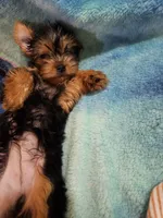 processed/17dfd23d-4c63-472a-bed7-37d8b3da4984/listing/ef47aa51-d268-40eb-bd86-ea2cecac0aea/0afba23e-30e6-4230-89bb-b9eaa6f9dc51