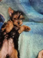 processed/17dfd23d-4c63-472a-bed7-37d8b3da4984/listing/ef47aa51-d268-40eb-bd86-ea2cecac0aea/91e02b12-e035-4db5-a9d2-46c51520b991