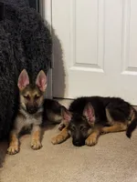 processed/17e1b342-85f2-4a69-bf82-ffa201a3f06a/listing/7a17d48f-9bdd-4ac1-9a30-185368bb8e6a/354fd7bd-df44-4145-80d1-0b047467f6c4