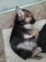 processed/17e1b342-85f2-4a69-bf82-ffa201a3f06a/listing/7a17d48f-9bdd-4ac1-9a30-185368bb8e6a/5366e2ab-5c03-4176-b792-67155a28e078