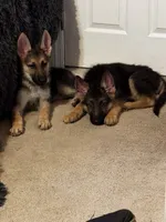 processed/17e1b342-85f2-4a69-bf82-ffa201a3f06a/listing/7a17d48f-9bdd-4ac1-9a30-185368bb8e6a/8c3d9f19-12f6-4df2-852f-75e905b8847e