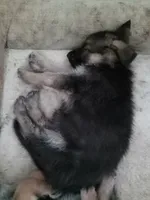 processed/17e1b342-85f2-4a69-bf82-ffa201a3f06a/listing/7a17d48f-9bdd-4ac1-9a30-185368bb8e6a/c0e843aa-aaa7-48d5-9795-a0787a32bf78