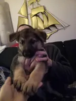 processed/17e1b342-85f2-4a69-bf82-ffa201a3f06a/listing/7a17d48f-9bdd-4ac1-9a30-185368bb8e6a/e93e3949-ac56-443e-bcda-658f2dc2d763