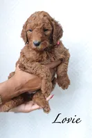 processed/17e6c526-b2de-4c6e-bfff-fb28320aaf5b/listing/35b208b3-5acb-4765-ad17-ea0a9f20765f/36c4b105-0d6c-4965-b47b-91b59634671c