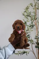 processed/17e6c526-b2de-4c6e-bfff-fb28320aaf5b/listing/35b208b3-5acb-4765-ad17-ea0a9f20765f/ec66f2c3-e22c-4471-99ab-d888aa19584d