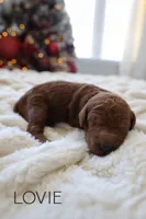 processed/17e6c526-b2de-4c6e-bfff-fb28320aaf5b/listing/35b208b3-5acb-4765-ad17-ea0a9f20765f/f2fbc927-930a-458b-bd6e-03d8fc5757f0