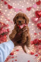 processed/17e6c526-b2de-4c6e-bfff-fb28320aaf5b/listing/35b208b3-5acb-4765-ad17-ea0a9f20765f/ff31c91a-642b-4936-b571-9cf5fde94dfb