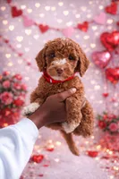 processed/17e6c526-b2de-4c6e-bfff-fb28320aaf5b/listing/b19f6ca0-eab0-4e87-854e-5b37197e66e3/0ddc5727-762e-4d90-8035-367fe3c45ac3