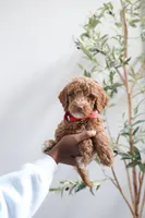 processed/17e6c526-b2de-4c6e-bfff-fb28320aaf5b/listing/b19f6ca0-eab0-4e87-854e-5b37197e66e3/d57e0769-f0da-484a-96c1-e1fa26b83876