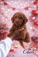 processed/17e6c526-b2de-4c6e-bfff-fb28320aaf5b/listing/e09da4ef-5a51-4ddc-b1d7-acc31b8dd3a2/a072d27c-8ad9-4b68-93e6-611521b67632