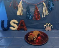 Glory, a female Vizsla for sale in Bloomfield, IA – 1 of 1