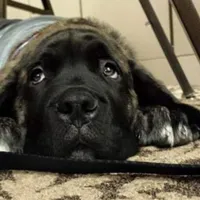 processed/17f57bee-76fd-46ae-8fa8-d29b91d9b615/facility/0e5bd45a-718c-4224-83a5-abcd337b497a