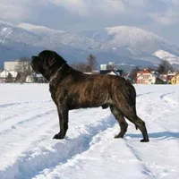 processed/17f57bee-76fd-46ae-8fa8-d29b91d9b615/facility/22fec9a0-e943-4591-afae-afe4548f5482