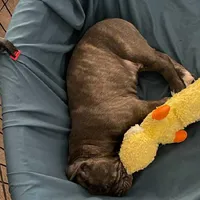 processed/17f57bee-76fd-46ae-8fa8-d29b91d9b615/facility/56a5881b-ee4a-434f-9ebd-84caf18dd0d8