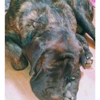 processed/17f57bee-76fd-46ae-8fa8-d29b91d9b615/facility/a7c7ade2-fb90-4688-89d2-655284493e74