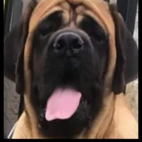 processed/17f57bee-76fd-46ae-8fa8-d29b91d9b615/facility/fccd2a44-e509-4102-b190-80ebff03b6cb