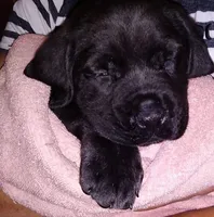 processed/17f57bee-76fd-46ae-8fa8-d29b91d9b615/listing/ae3e6364-5449-4162-ac4b-a9aef27da02a/23da6e27-cf7f-4790-be31-c96d1e42d0b4