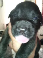 processed/17f57bee-76fd-46ae-8fa8-d29b91d9b615/listing/ae3e6364-5449-4162-ac4b-a9aef27da02a/9259da52-e13f-4351-8164-c5601f3812de