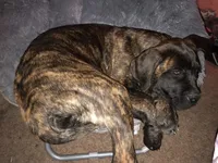 processed/17f57bee-76fd-46ae-8fa8-d29b91d9b615/listing/e88d69d0-edb7-4954-b092-f88e2cd8d82f/017a73a9-07f7-4d15-bbc0-394527f4a29a