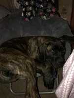 processed/17f57bee-76fd-46ae-8fa8-d29b91d9b615/listing/e88d69d0-edb7-4954-b092-f88e2cd8d82f/1d2bfd67-ab0a-4f49-8882-ae1881744dbb