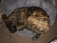 processed/17f57bee-76fd-46ae-8fa8-d29b91d9b615/listing/e88d69d0-edb7-4954-b092-f88e2cd8d82f/3397d1d1-fb8a-47ea-812c-ee8693af79eb