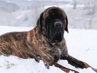 processed/17f57bee-76fd-46ae-8fa8-d29b91d9b615/listing/e88d69d0-edb7-4954-b092-f88e2cd8d82f/a7c87c05-4236-4932-8c8f-85202ffb8fe4