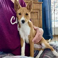 processed/17f940c4-ab4e-4e92-9f51-12c4f0b135ca/facility/1026a048-9f3e-4c17-9ae3-4f24e012495f