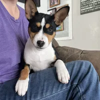 processed/17f940c4-ab4e-4e92-9f51-12c4f0b135ca/facility/2b7171f6-c9ca-45fc-a5d7-325281b3579a