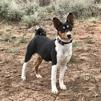 processed/17f940c4-ab4e-4e92-9f51-12c4f0b135ca/facility/46a02ade-7310-4676-8f67-814c51d1a396