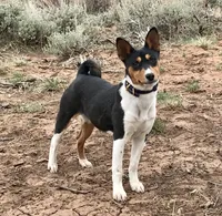 processed/17f940c4-ab4e-4e92-9f51-12c4f0b135ca/facility/46a02ade-7310-4676-8f67-814c51d1a396