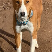 processed/17f940c4-ab4e-4e92-9f51-12c4f0b135ca/facility/84550d33-bbc1-456f-9ab9-8cb5d7e059f7